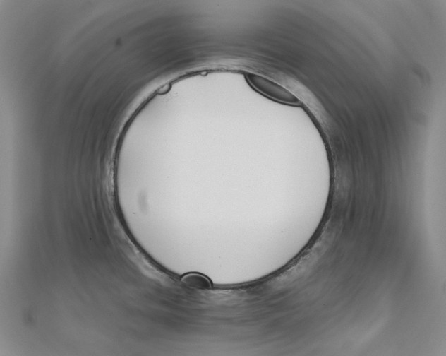 X0000112071436200909011014