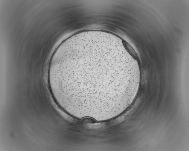 X0000112071437200909011014
