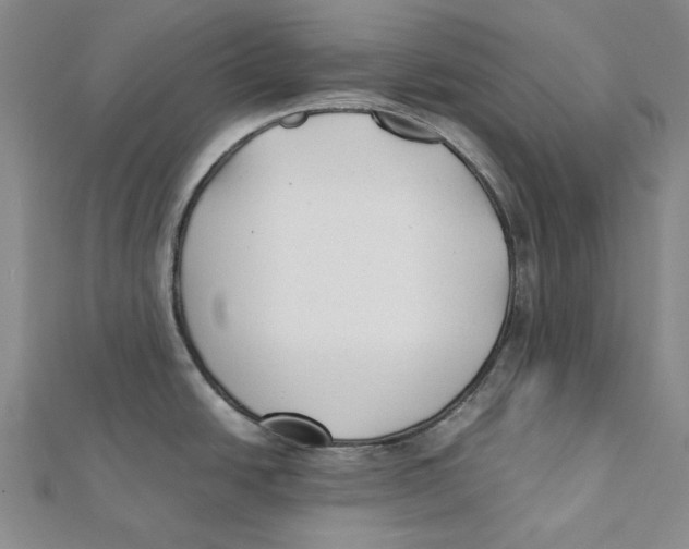 X0000112071438200909011014