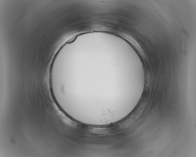 X0000112071439200909011014