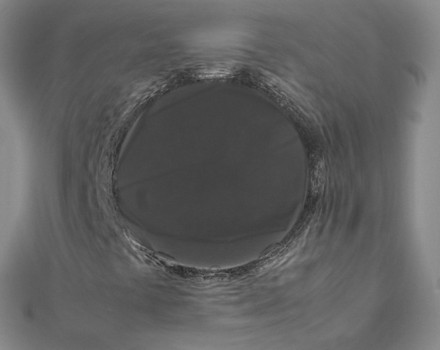 X0000112071441200909011013