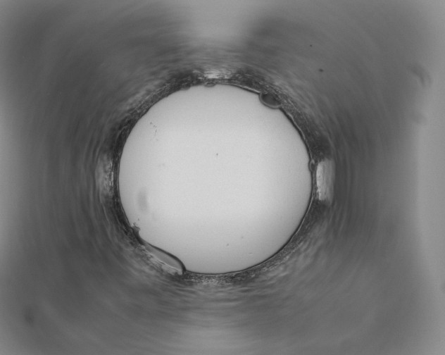 X0000112071443200909011013