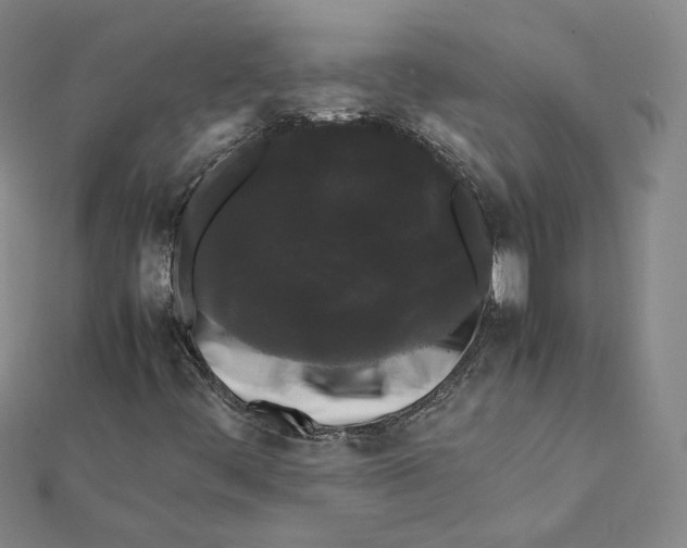 X0000112071444200909011013