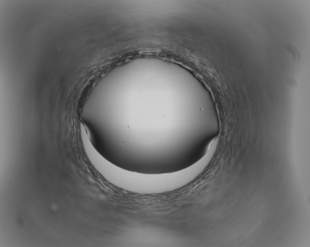 X0000112071445200909011013