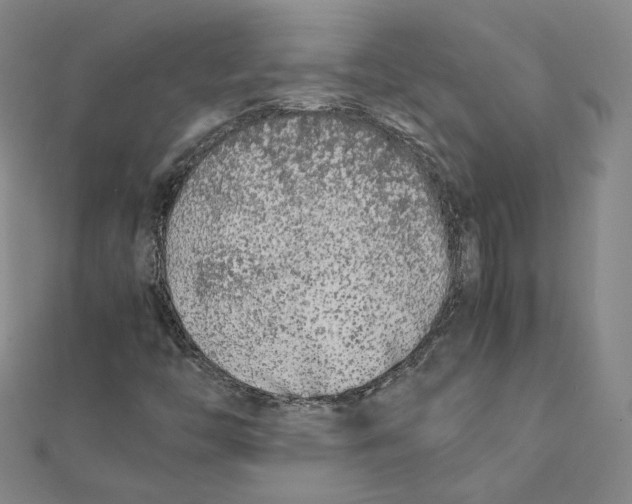 X0000112071446200909011013
