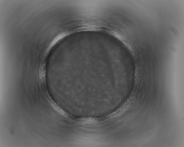 X0000112071450200909011013