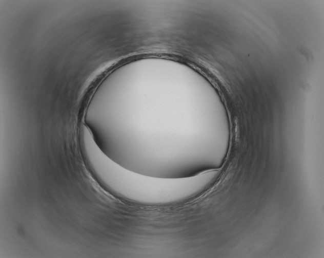 X0000112071452200909011013
