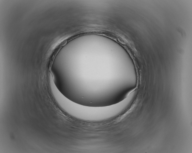 X0000112071453200909011013