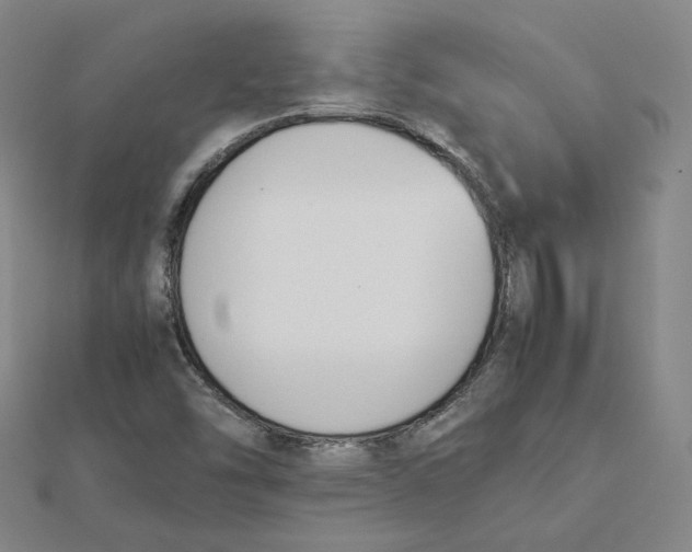 X0000112071454200909011013