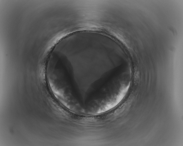 X0000112071455200909011013