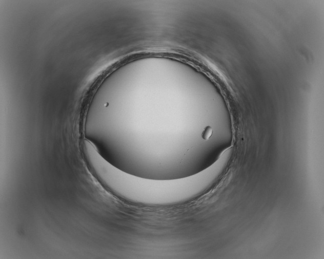 X0000112071456200909011013
