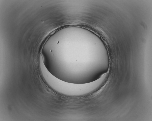 X0000112071457200909011013