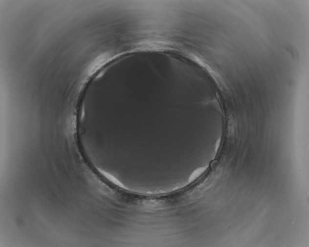 X0000112071459200909011013