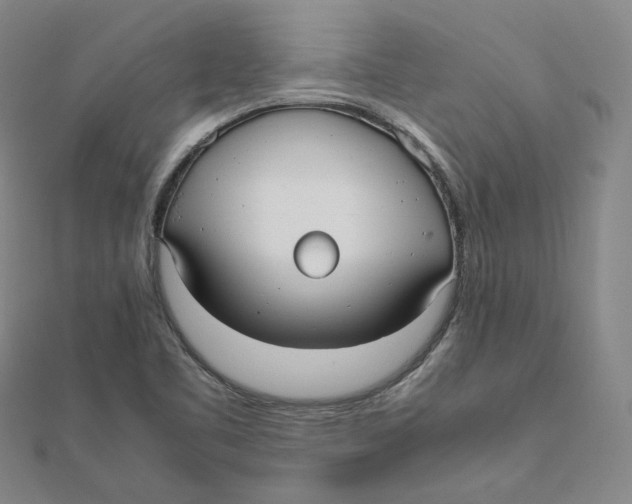 X0000112071461200909011013
