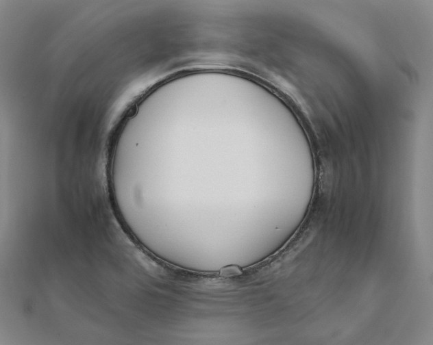 X0000112071464200909011013