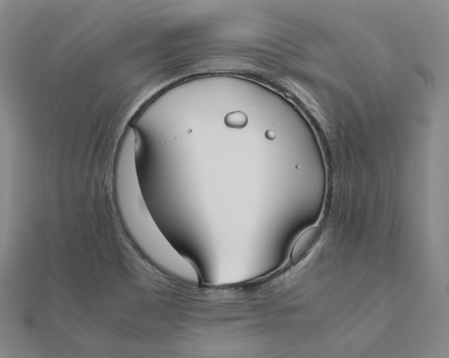 X0000112071465200909011013