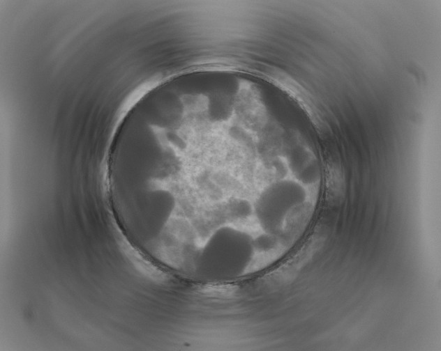 X0000112071466200909011013