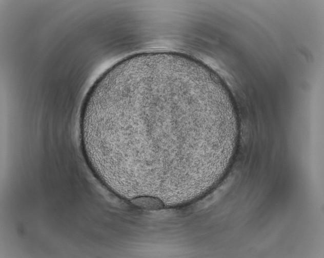 X0000112071469200909011013