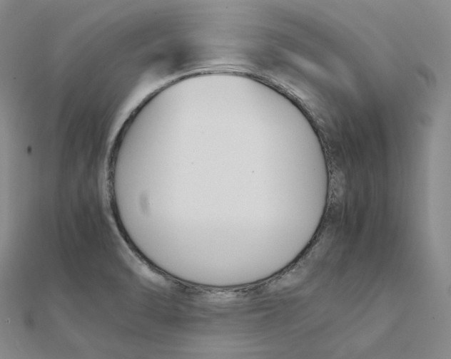 X0000112071470200909011013