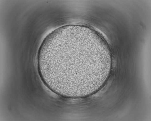 X0000112071471200909011013