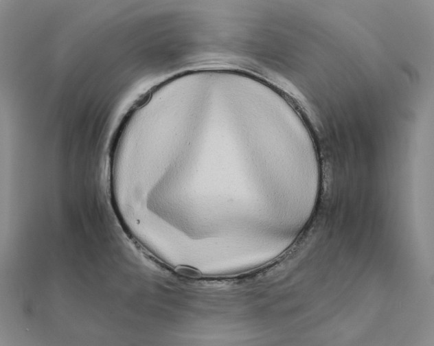 X0000112071472200909011013