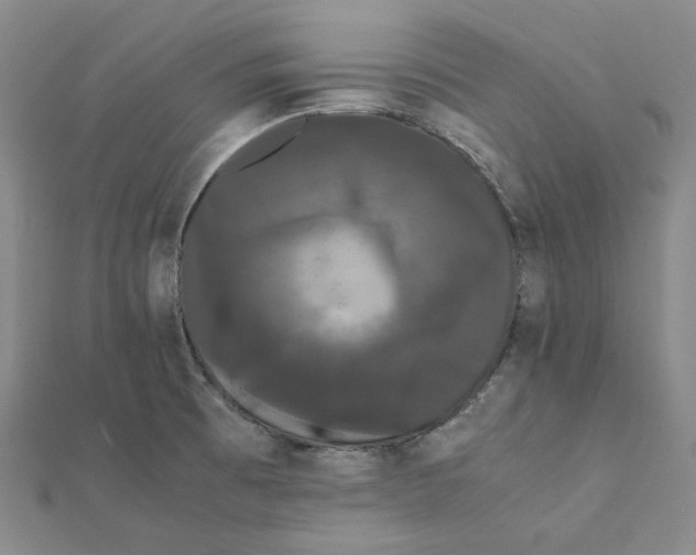 X0000112071473200909011013