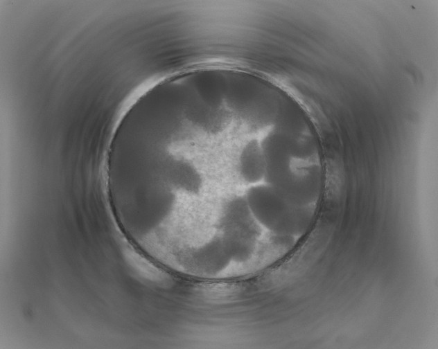 X0000112071474200909011013