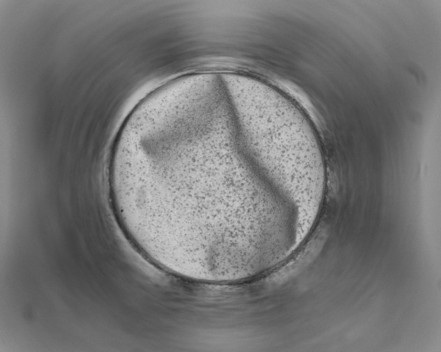 X0000112071475200909011013