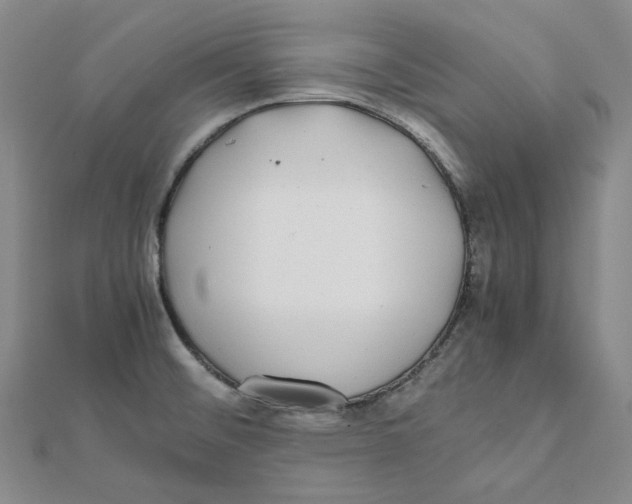 X0000112071476200909011013