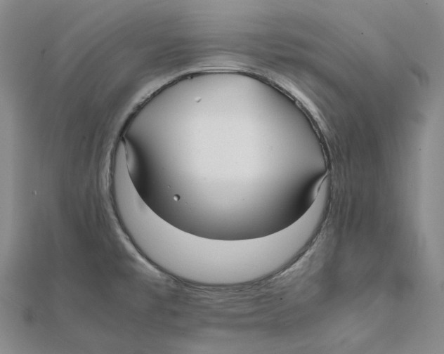 X0000112071477200909011013