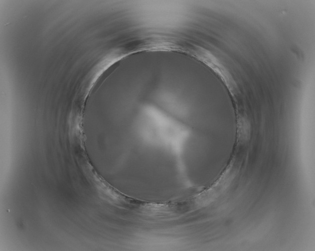 X0000112071481200909011013