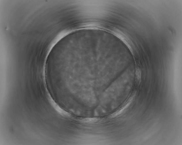 X0000112071482200909011013