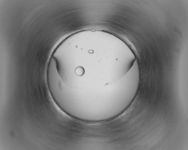 X0000112071484200909011013