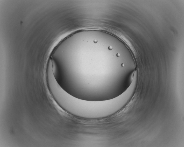 X0000112071485200909011013