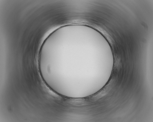 X0000112071486200909011013