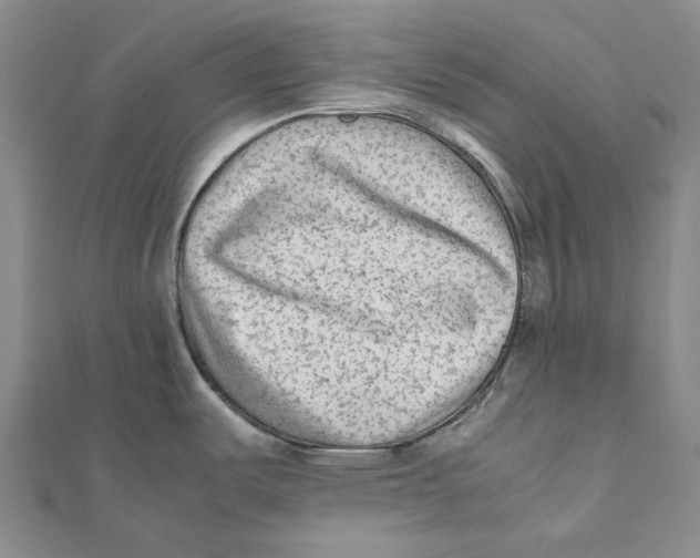 X0000112071487200909011013
