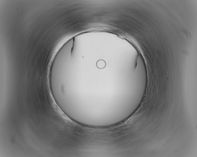 X0000112071488200909011013