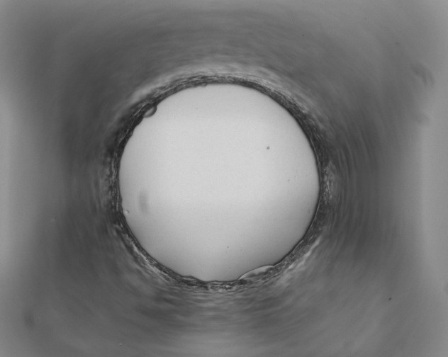 X0000112071494200909011012