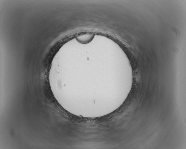 X0000112071495200909011012