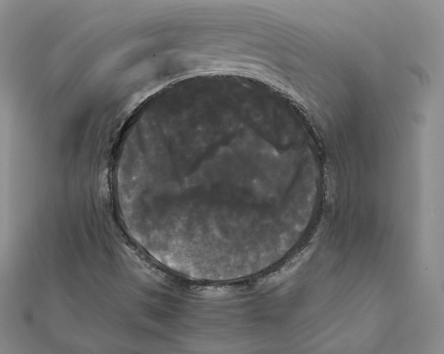 X0000112071497200909011012