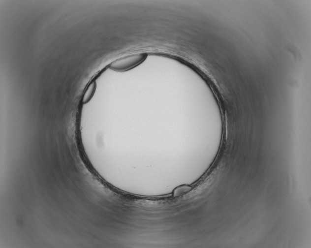 X0000112071500200909011012