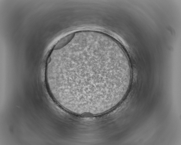 X0000112071504200909011012