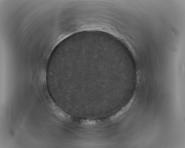 X0000112071505200909011012