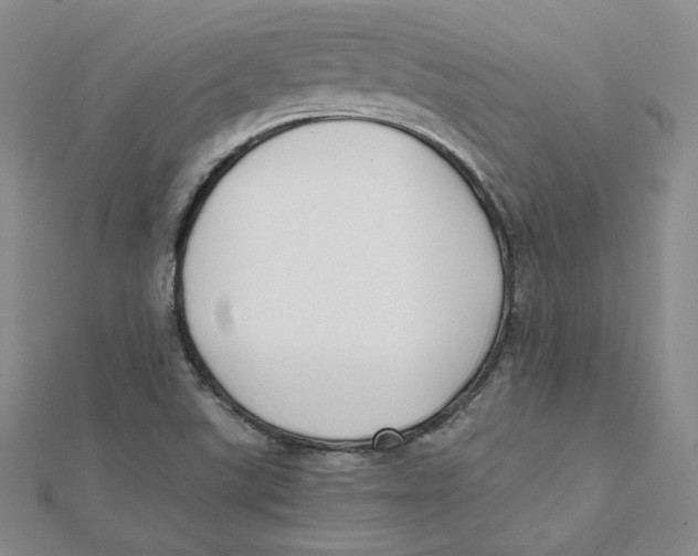 X0000112071507200909011012