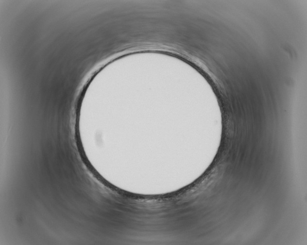 X0000112071508200909011012