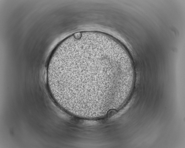 X0000112071509200909011012