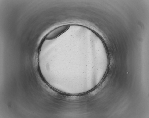 X0000112071510200909011012