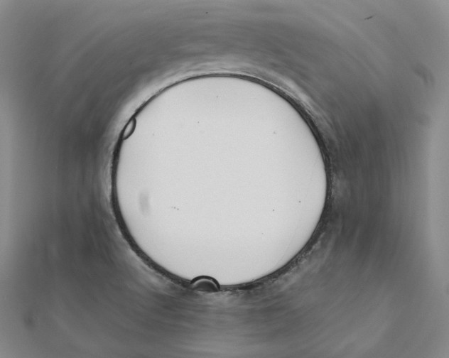 X0000112071512200909011012