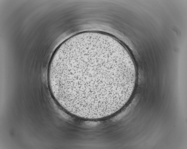 X0000112071513200909011012