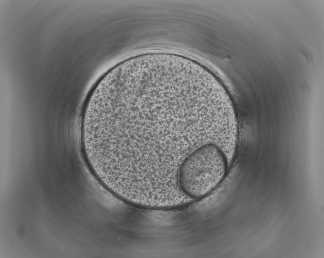 X0000112071514200909011012